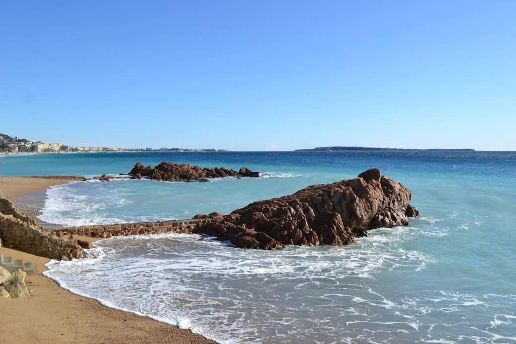 Appartement On Vacay - Votre Havre De Paix A 100 M Des Plages Cannes